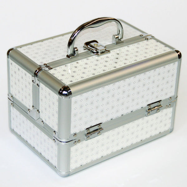 Portable Professional Silver Cosmetics Box